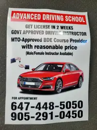 Driving lessons Driving instructor 
