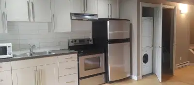 Walkout one bedroom suite by sw somerset station