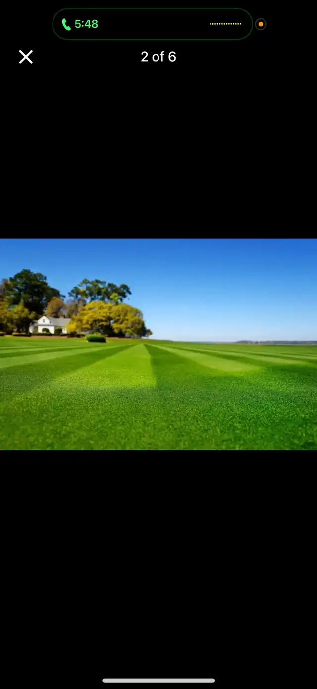 Affordable lawn care and Tree trimming