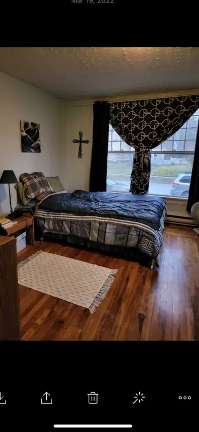 Beautiful 1 bedroom downtown apartment