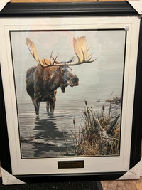 Silent Waters Moose framed picture