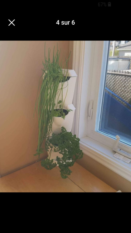 Mini jardin vertical en plastique blanc recýclable dans Plantes, engrais et terreaux  à Trois-Rivières - Image 2
