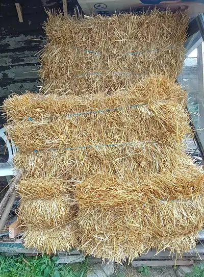 Straw Bales $ 15 for Sale in  Toronto and Vicinity, View more