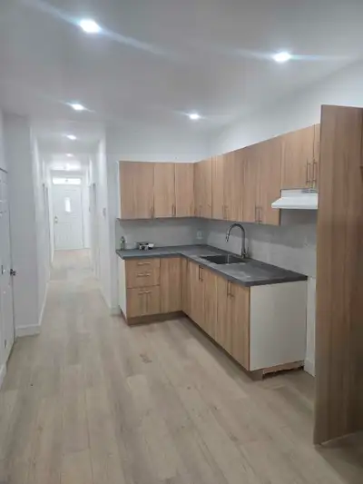 Brand new apartment Hochelaga 4 1/2