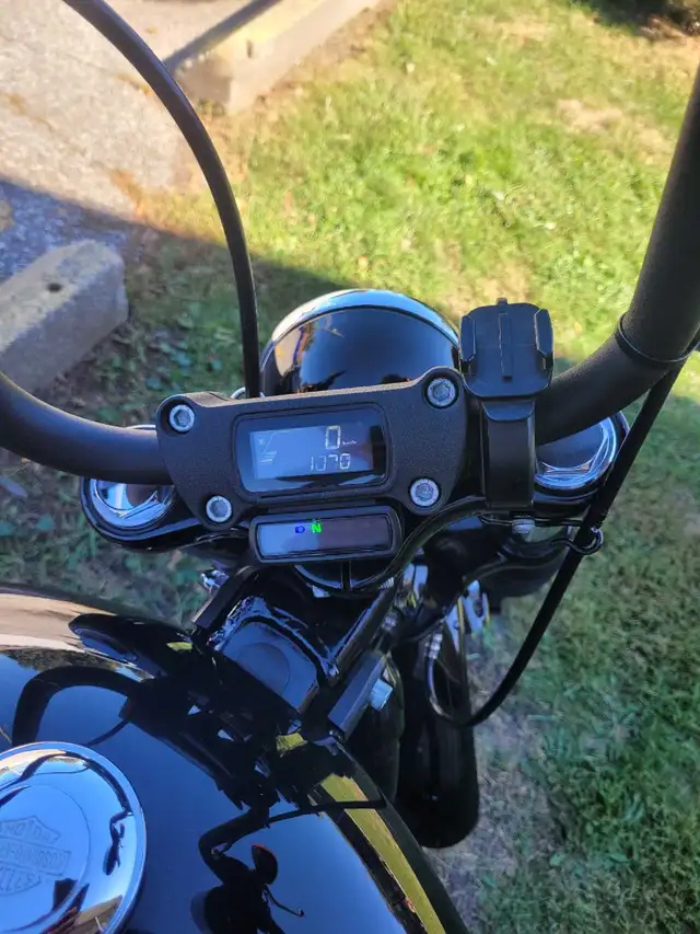 2019 harley davidson street bob in Street, Cruisers & Choppers in Windsor Region - Image 3
