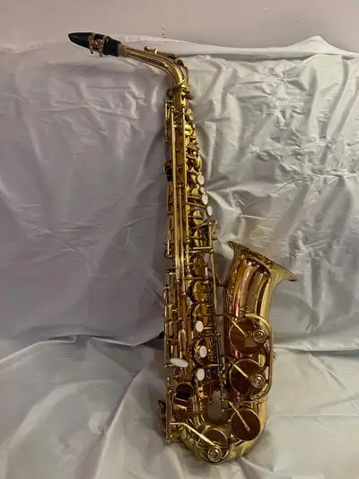 Alpine AAS143 Alto Sax with two cases, View more