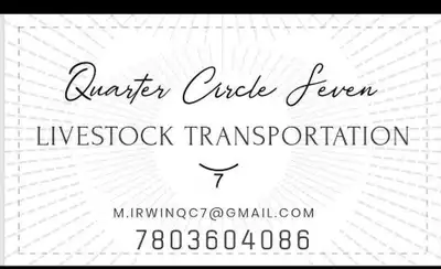 Equine Transportation , View more