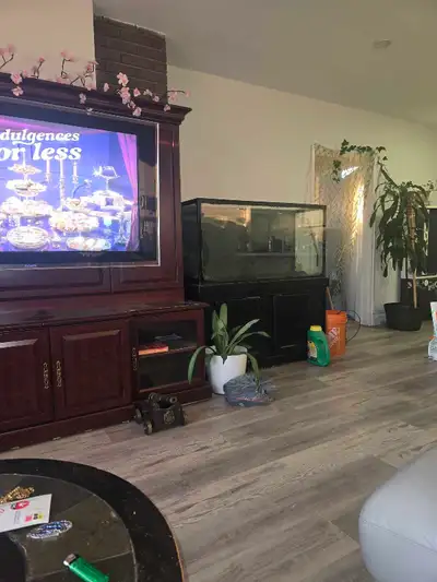 75 gallon, no leak ,ugly cocked by previous seller. Moving to condo ,cant take the monstrosity. Fast...