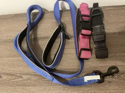 Kong Dog Collars & Hands Free/Regular Leash Lot, View more