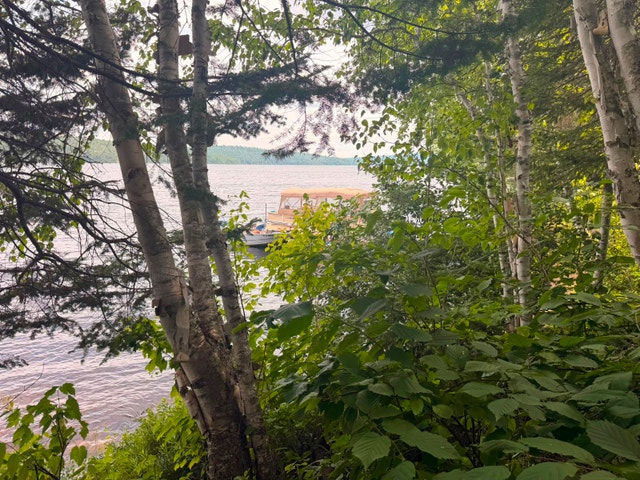 Très beau terrain bord de l'eau riverain au lac taureau — photo 2
