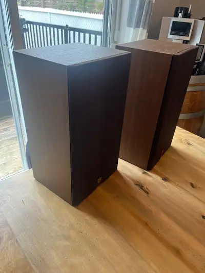 Nice pair in great condition. Work perfectly