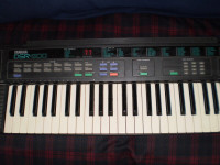 Portable Electronic Keyboard Synthesizer, Pedal Bench and Stand