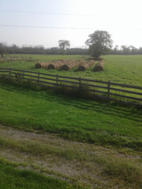 4x5 round bales of hay for sale $ 20.00 each .