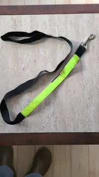 45" Heavy duty Leash for your dog!