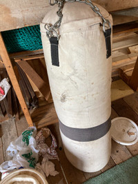 Profession style punching bag about 48’ high with hanging chain