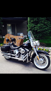 2008 Harley Softail Deluxe