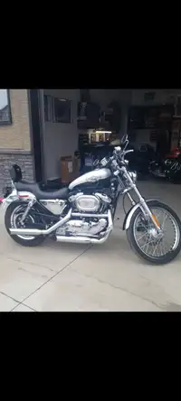 2003 Harley Davidson 1200XL Custom