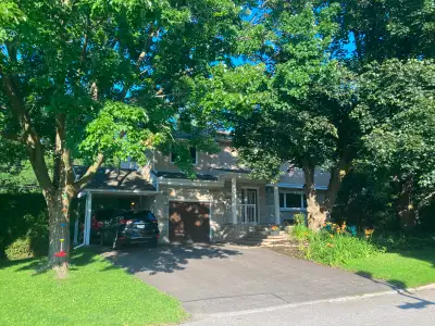 Beautiful home with large, private backyard and hot tub, View more