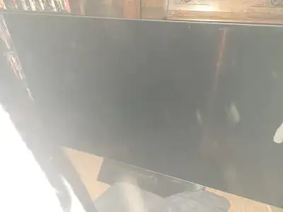 lg oled 55" tv with burn in issue, View more