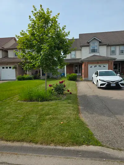 Student House Rental
