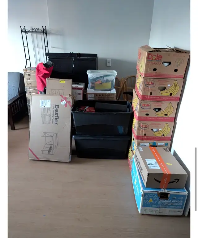 Ottawa strong and professional movers559731879561154562