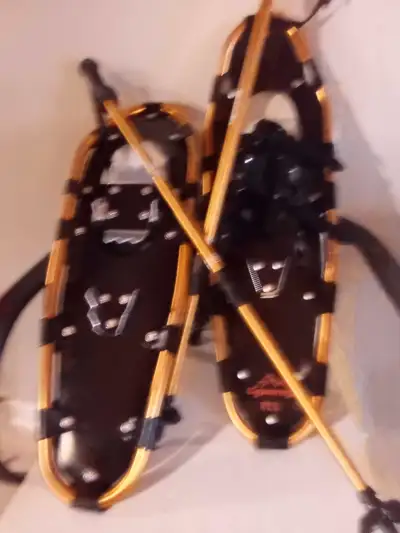 Package includes 1 pair (like new) snowshoes. 1 pair adjustable hand poles 1 carry bag