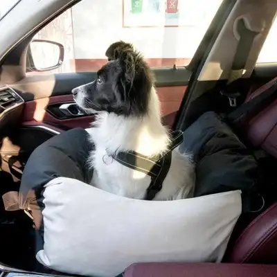 Dog car seat bed, View more