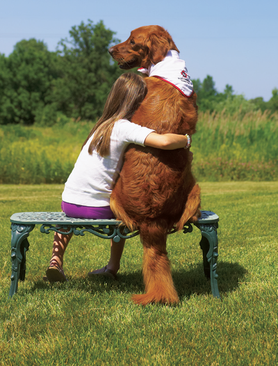 Pet First Aid, View more