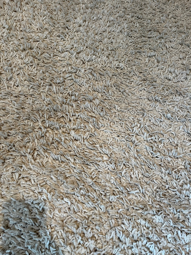 Area Carpet  in Rugs, Carpets & Runners in Markham / York Region - Image 3