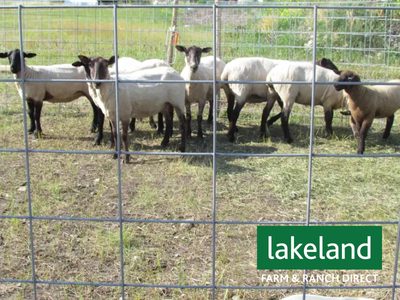 WELDED WIRE MESH PANELS for CATTLE/SHEEP/GOATS/HOGS/CHICKENS ETC, View more