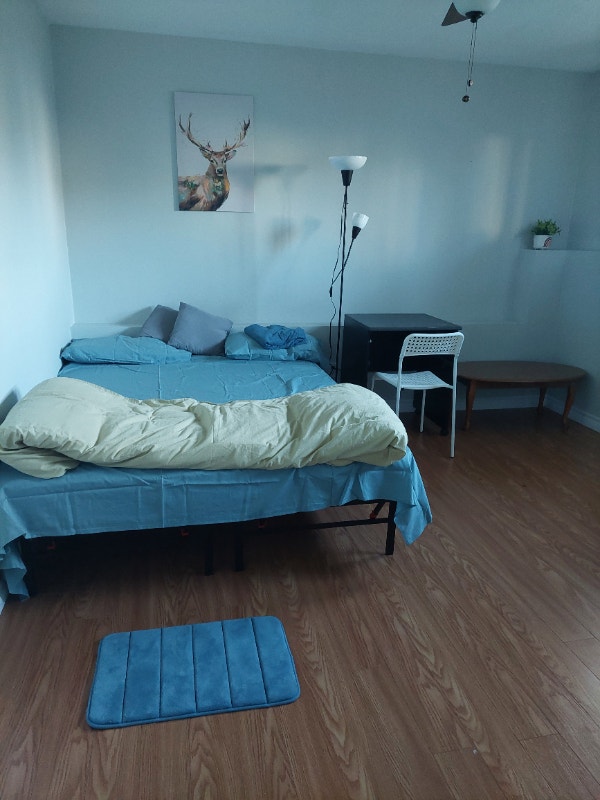 Private one bedroom for rent for females in Cole Harbour Long Term