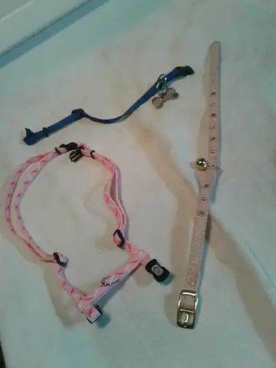 1$ coller pour chat /chien 7$ conteneur pour croquettes ou Treats chat /chien fait par (CAT) 2$ et 3...