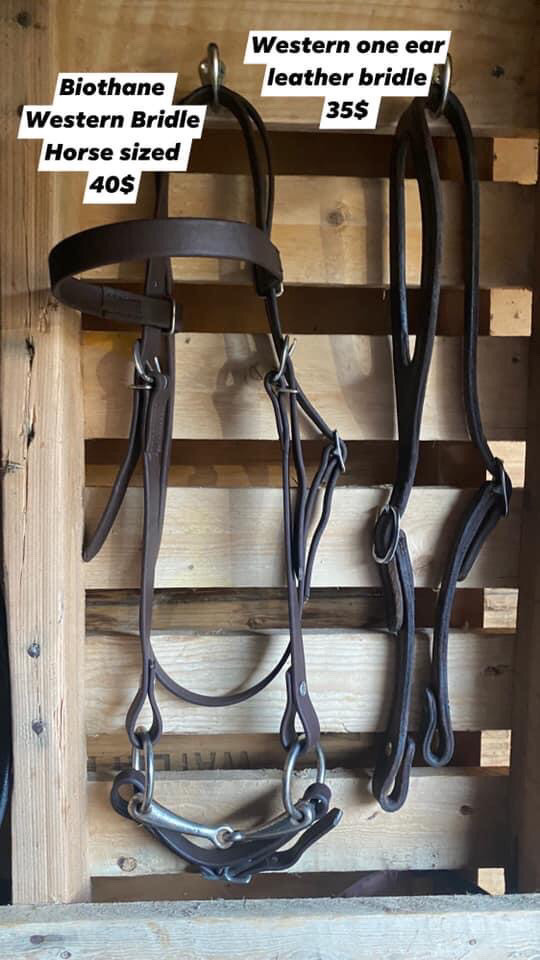 Western bridles  in Equestrian & Livestock Accessories in Leamington