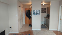 MARCH 1st, Studio Downtown Halifax, Lease transfer
