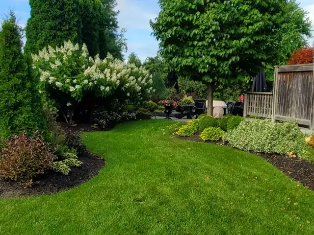 Professional Landscaping & Yard Maintenance – Free Estimates