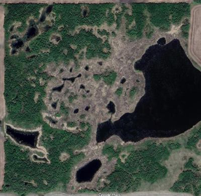 160 acres titled land. This land has never been broken or farmed. It has some hay potential but it h...