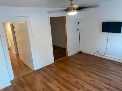 Appartement une chambre 1er juillet, Hull près du Maxi
