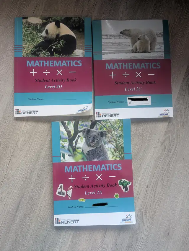 Renert Bright Minds Maths books