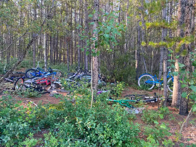 Bike part collection
