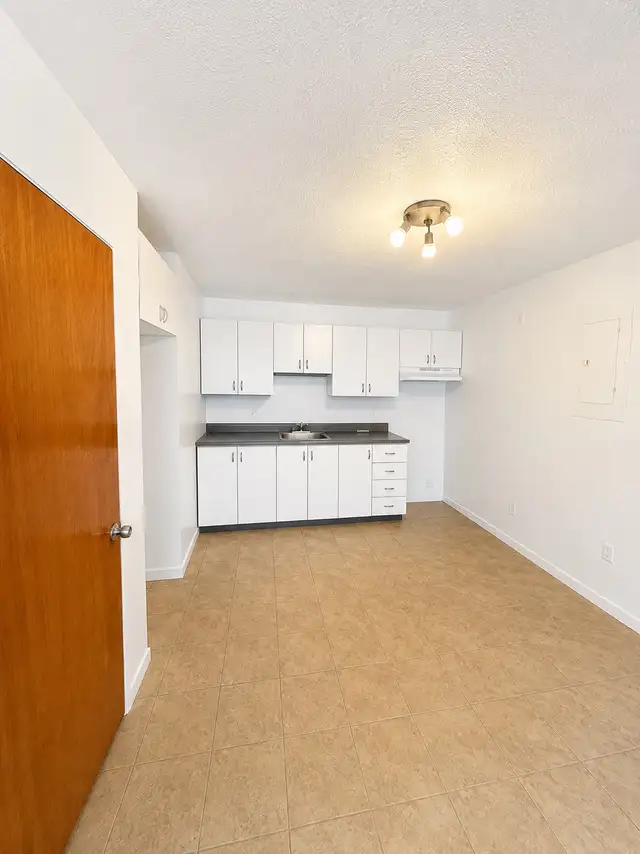 Beautiful Renovated 4.5-Bedroom Apartment for Rent – Sherbrooke