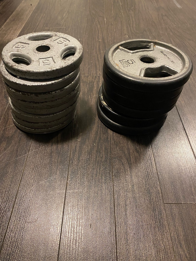 Plate weights in Exercise Equipment in City of Toronto - Image 2