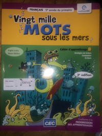 Vingt mille mots sous les mers cahier d’apprentissage b 5e annee