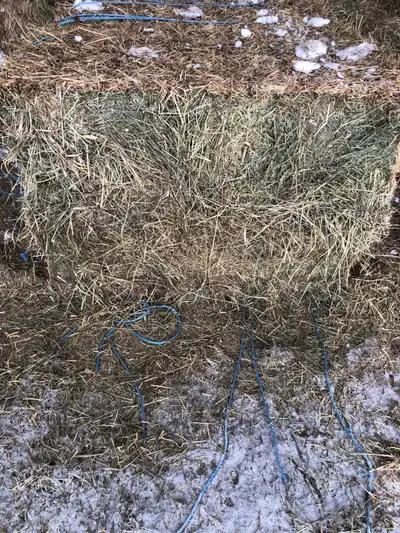 large square grass hay for sale , View more