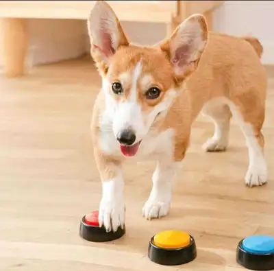 4 pack Voice Recording Button,Dog Buttons for Communication,...., View more