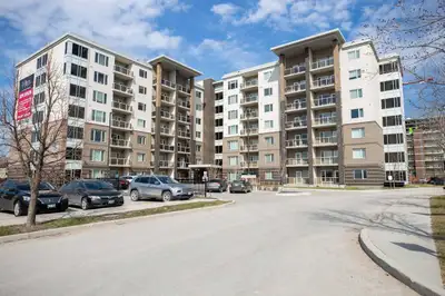 Luxury Apartment for Rent next to UofM! 2 bed, 2 bath, and more!