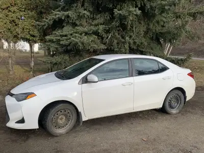 Selling our Toyota Corolla. Car has 260000km on it but car runs great. Selling our car because we ne...