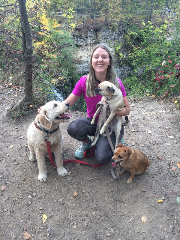 Full-time Dog Walker Available in Animal & Pet Services in Hamilton