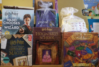 Harry Potter Hogwart's School A Magical 3-D Carousel Pop-up Boo