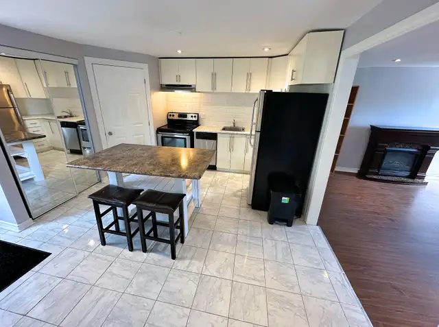 Stunning and Spacious 2 Bedrooms near Locke St and Downtown