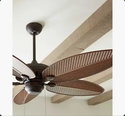 Birch Lane 52'' indoor or outdoor fan Ceiling Fan, View more